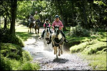 Burley Villa School of Riding