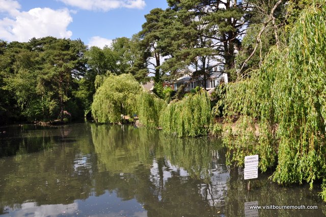 Coy Pond