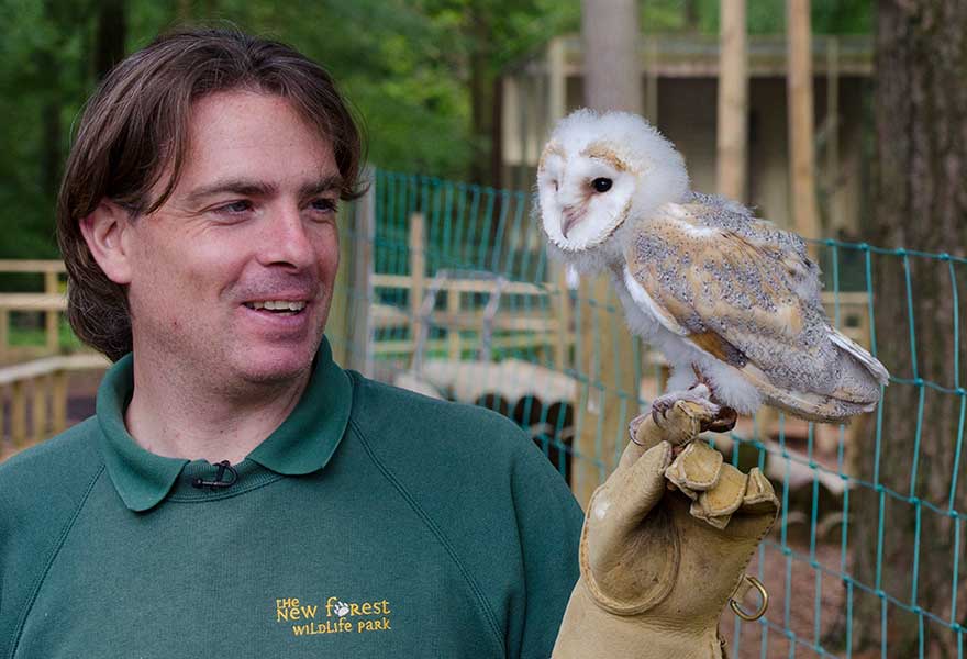 New Forest Wildlife Park